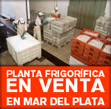 VENTA FRIGORIFICO PESCADOS Y MARISCOS DE EXPORTACION