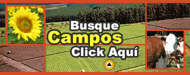 listado completo de campos ordenado por hect�reas
