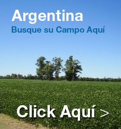 Campos en Argentina