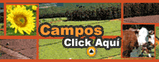 Acceda a la secci�n Rural de Campos en Argentina