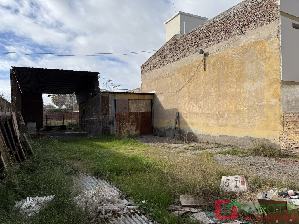 Imagen5