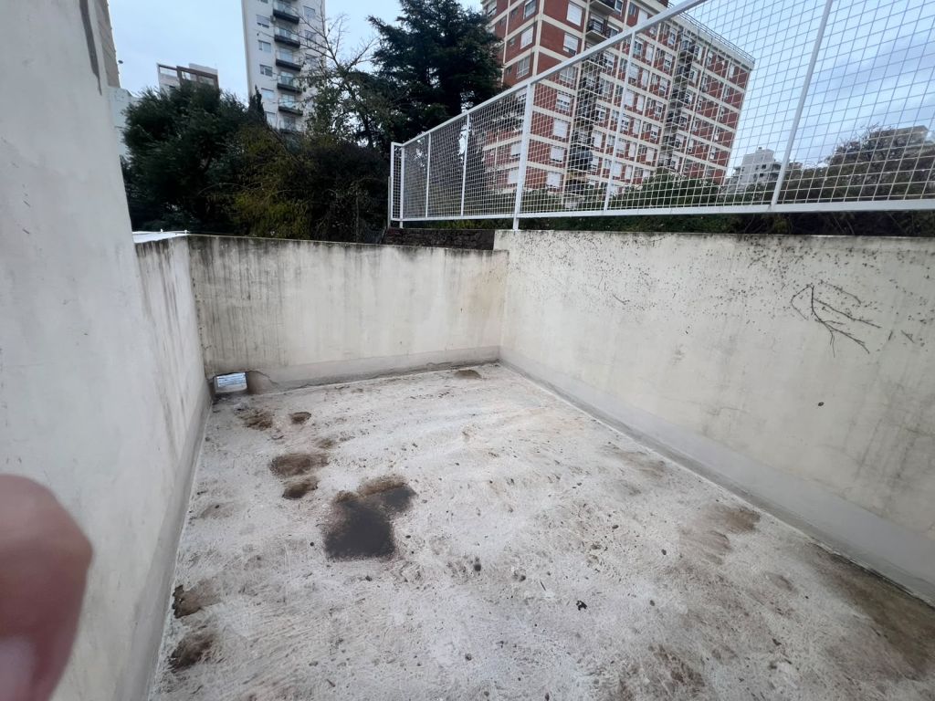 Imagen6