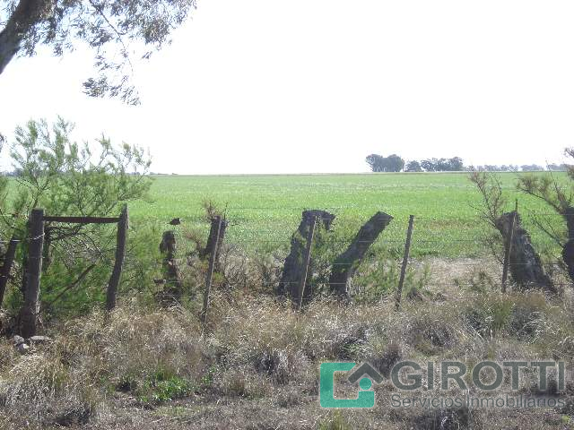 Imagen8