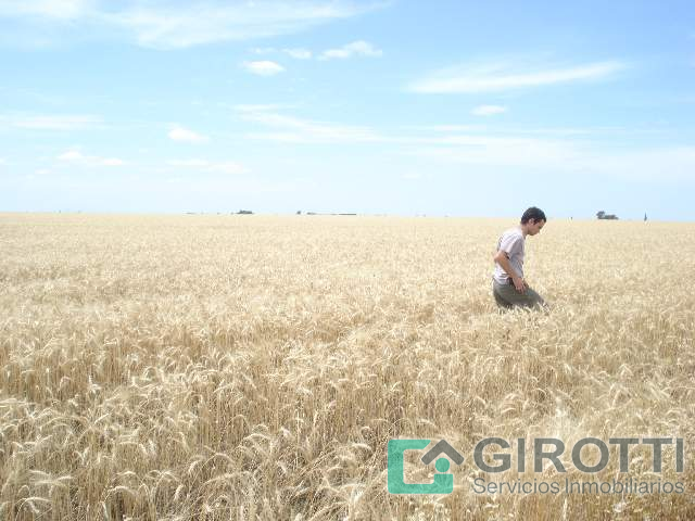 Imagen15