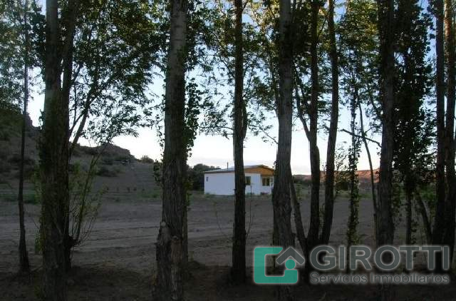 Imagen2