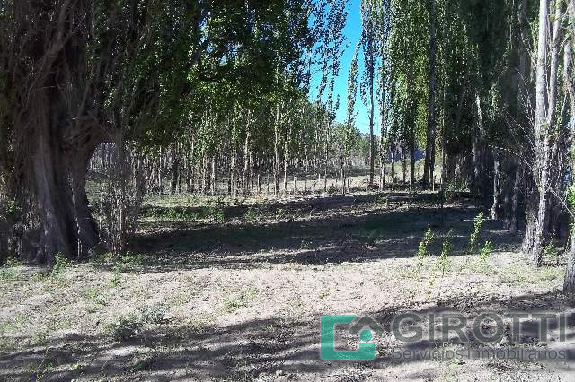 Imagen9