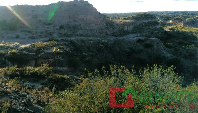 Imagen14