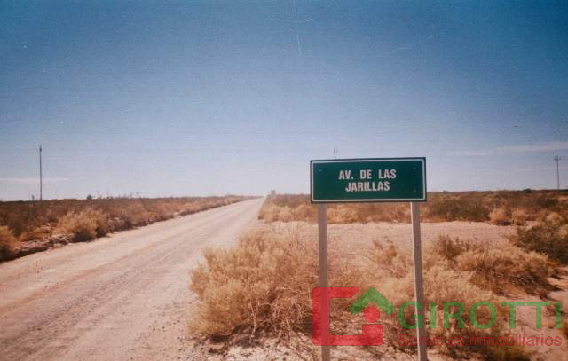Imagen2