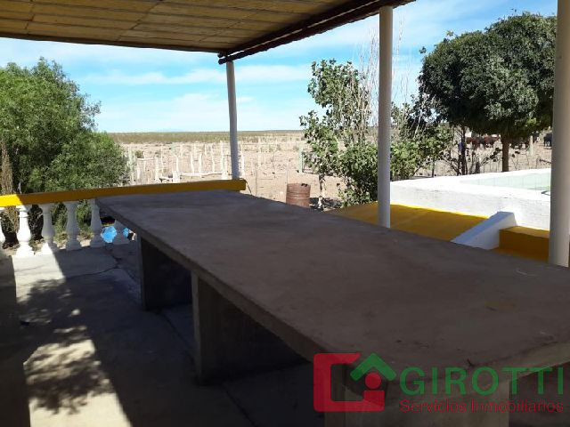 Imagen11