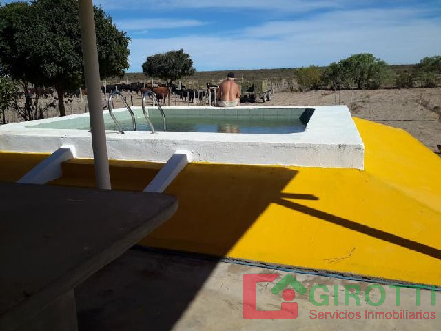 Imagen12