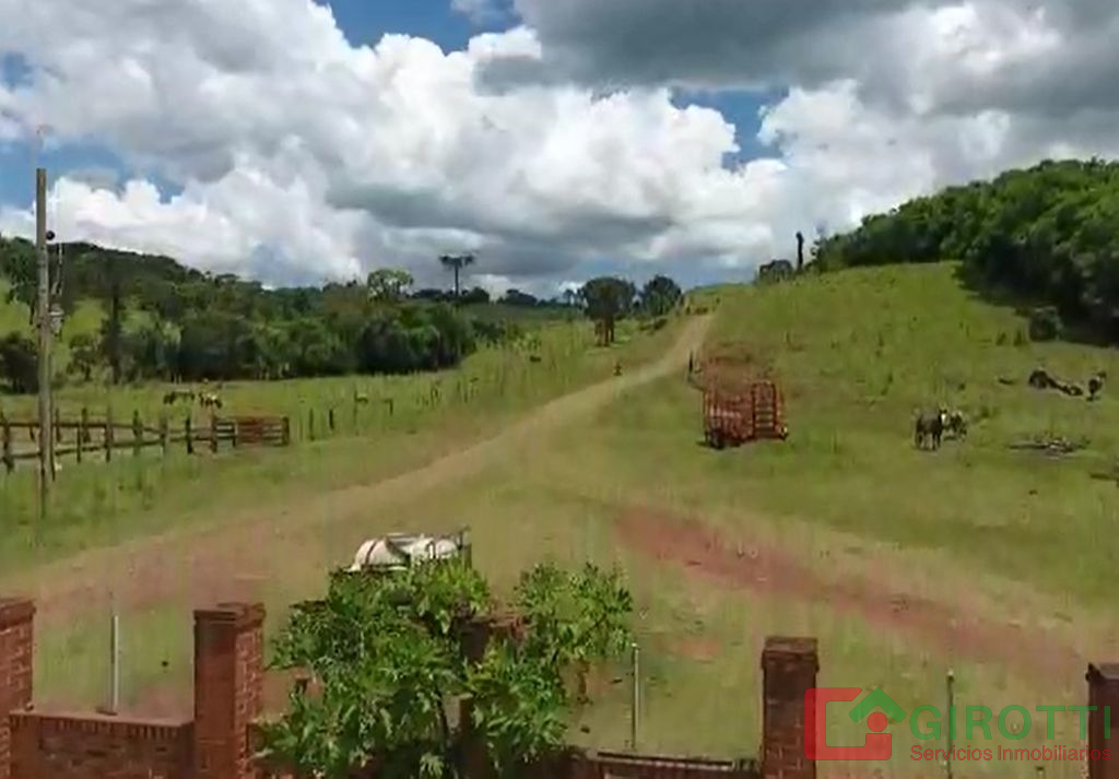 Imagen1