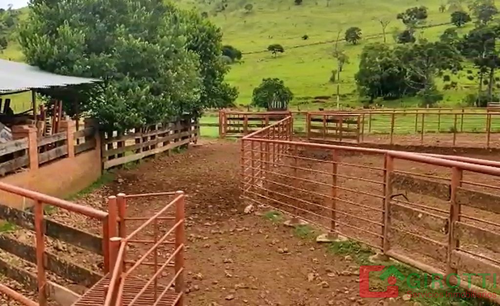 Imagen14