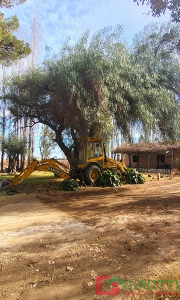 Imagen10
