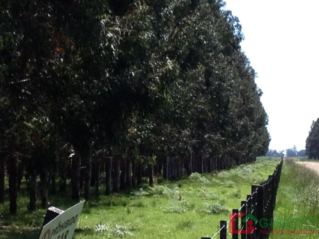 Imagen5