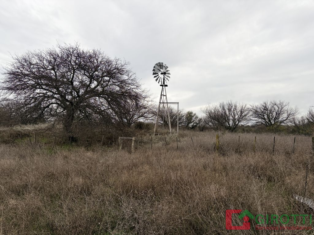 Imagen3
