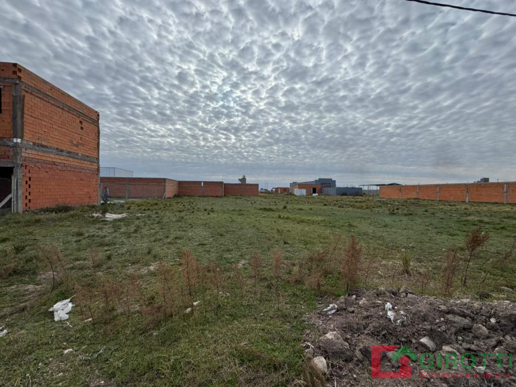 Imagen2