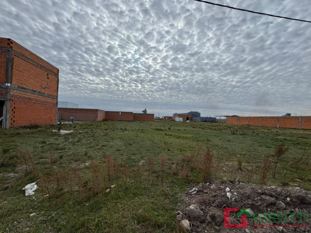 Imagen1