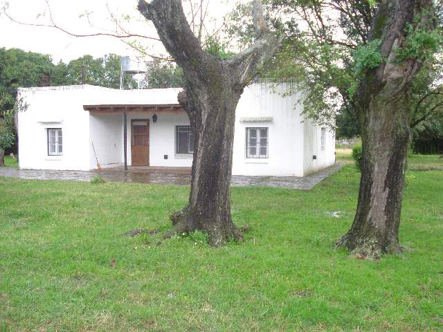 Miniatura 10