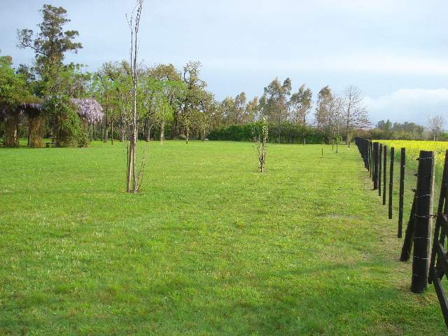 Miniatura 13