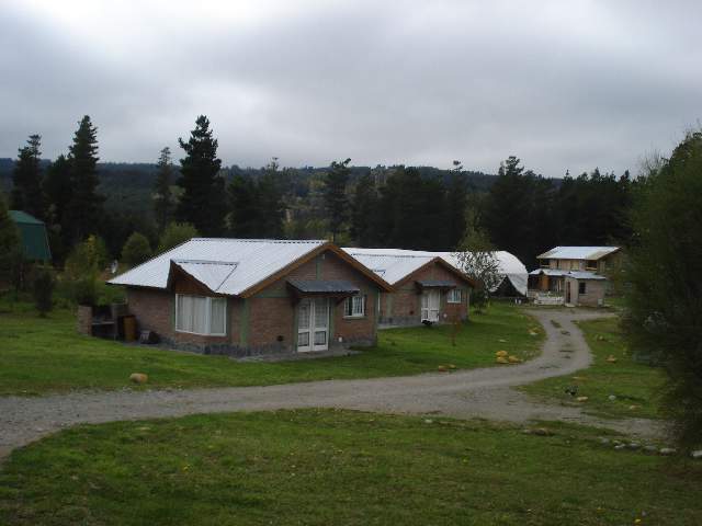 Miniatura 11