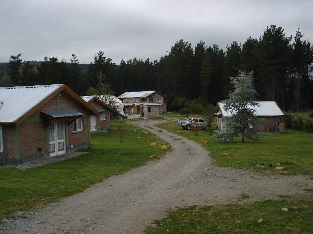 Miniatura 12