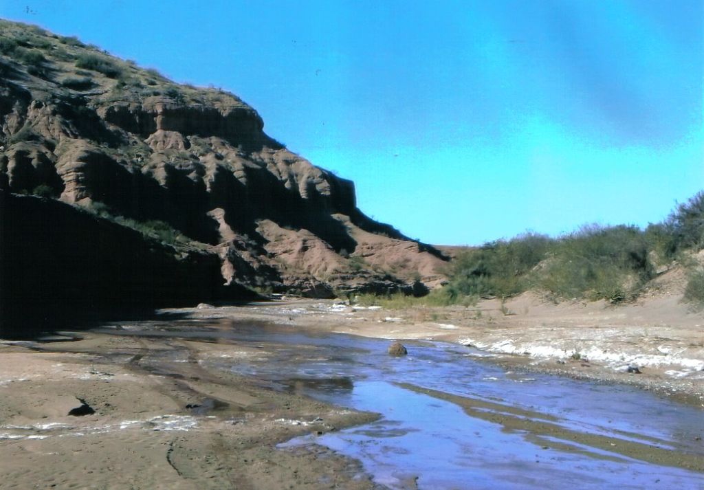 94.000 HA ESTANCIA EN MENDOZA A TRANQUERA CERRADA