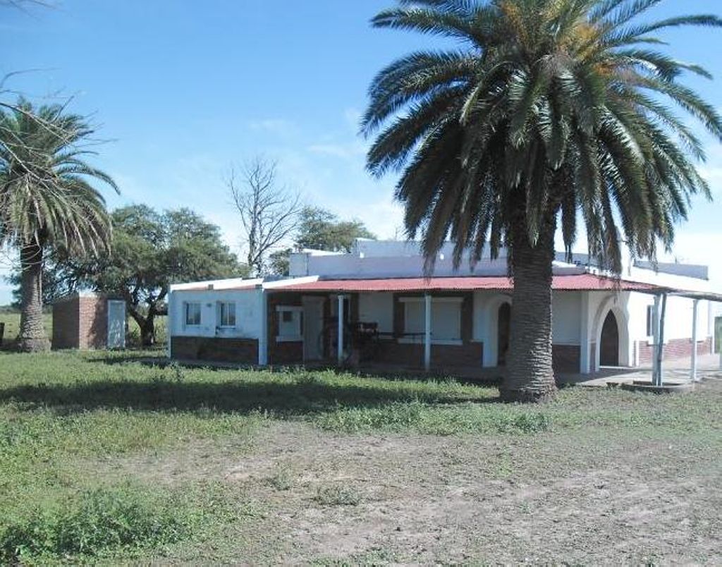 Miniatura 11