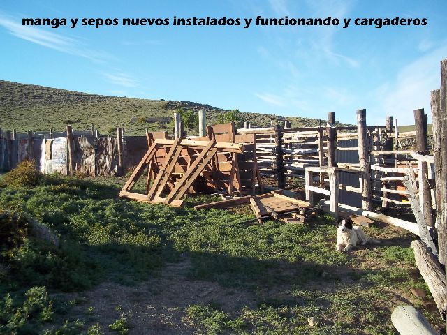 Miniatura 12