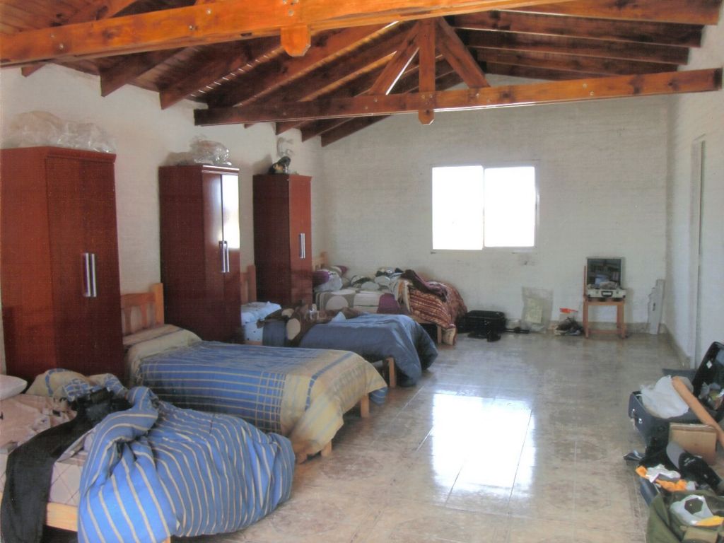 Miniatura 11