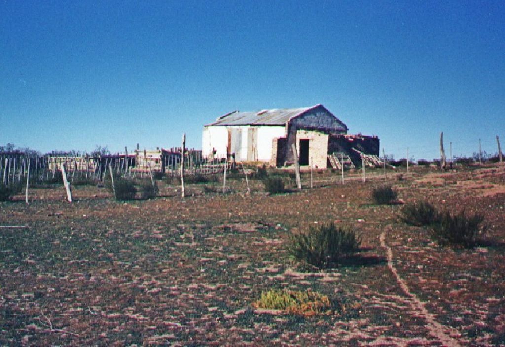 Miniatura 8