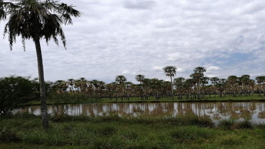2.895 ha ASUNCION PARAGUAY