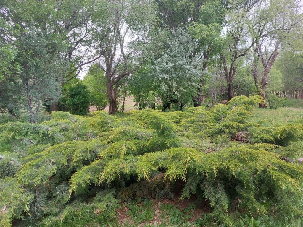 20.500 HA EXCELENTE ESTANCIA EN CHUBUT