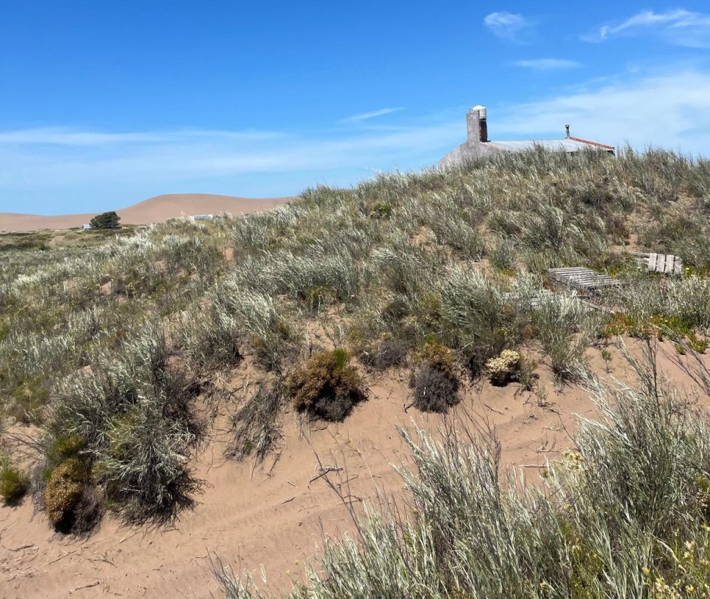 VENTA - MONTE HERMOSO