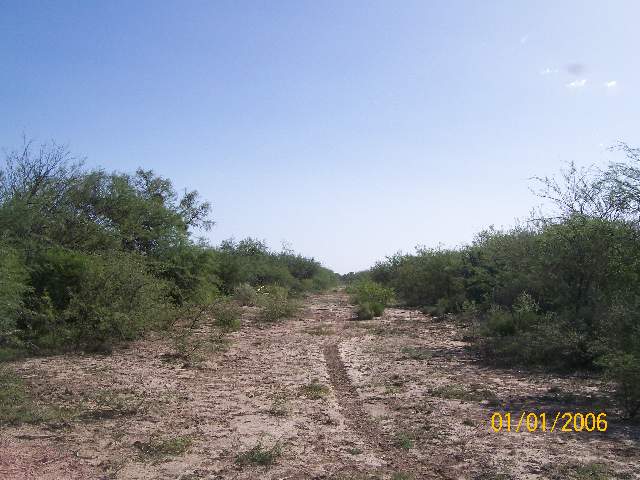 Imagen1
