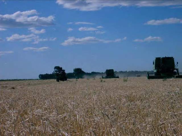 2.260 HA LA MEJOR ESTANCIA CORONEL DORREGO BUENOS AIRES