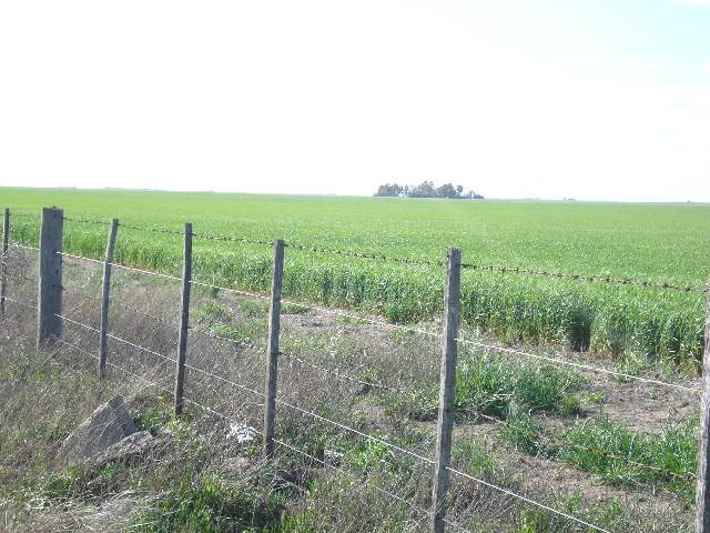 Imagen5