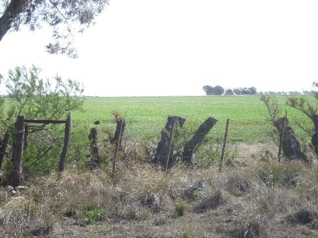 Imagen8