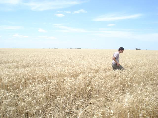 Imagen15