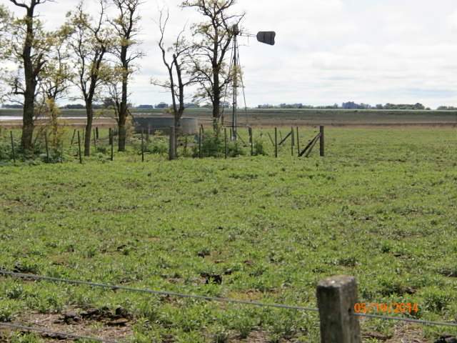 150 HA ARRIBENIOS JUNIN BUENOS AIRES