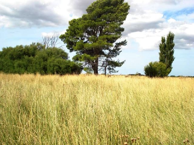 420 HA PRADERE PATAGONES BUENOS AIRES