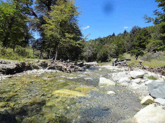 52 HA EPUYEN - EL MAITEN CHUBUT