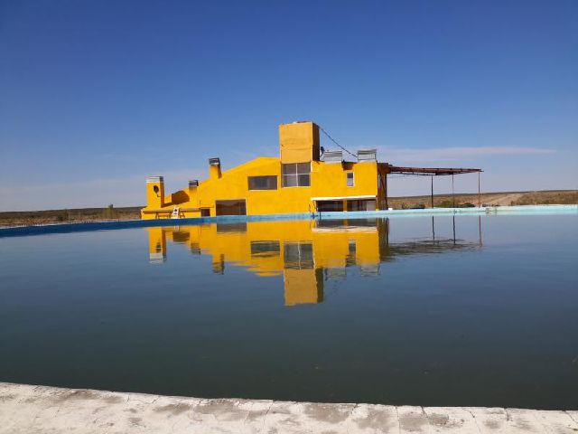 4.150 HA EN ZONA DE VACA MUERTA PAMPEANA