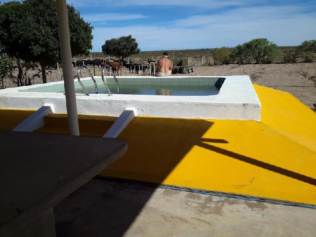 Imagen12