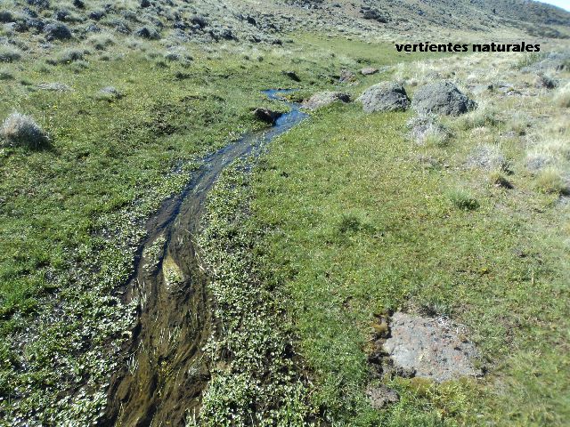 Imagen5