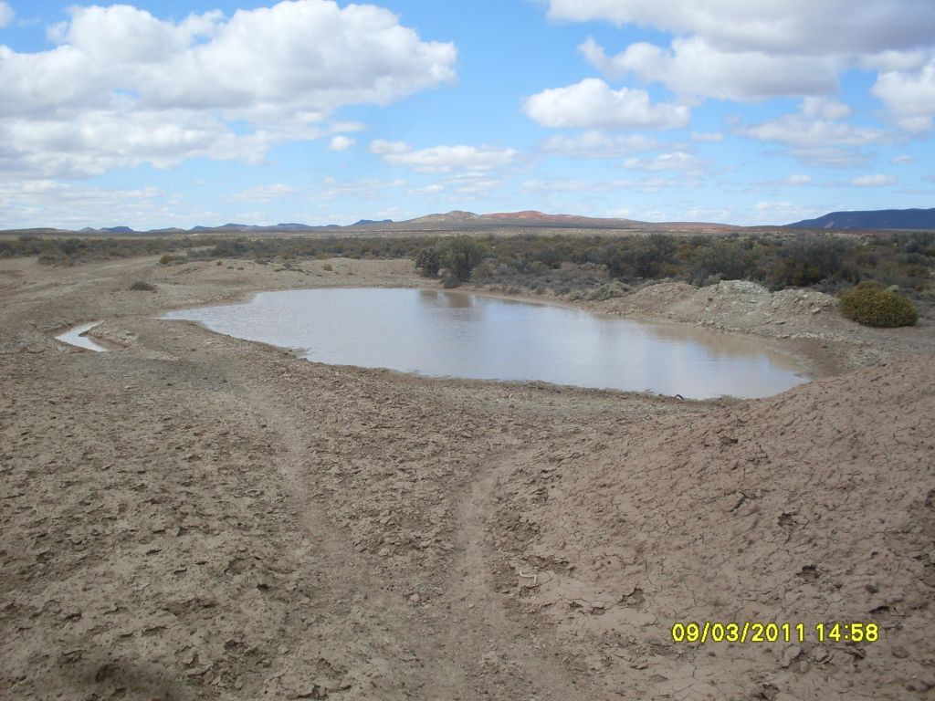 Imagen13