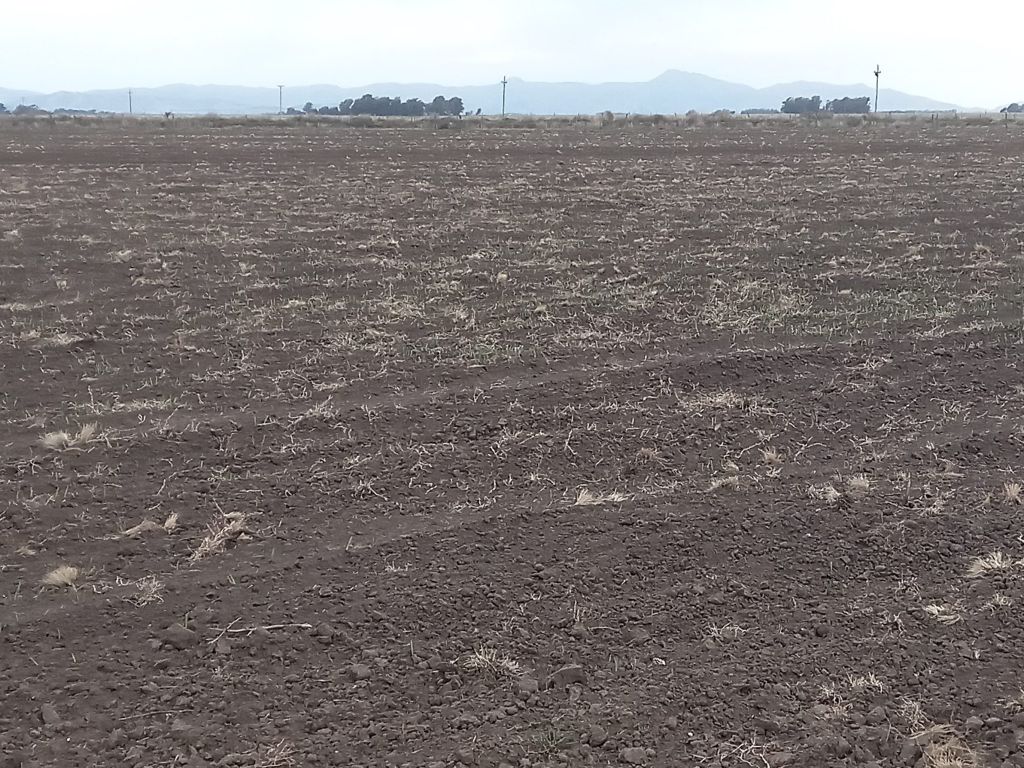200 HA TORNQUIST