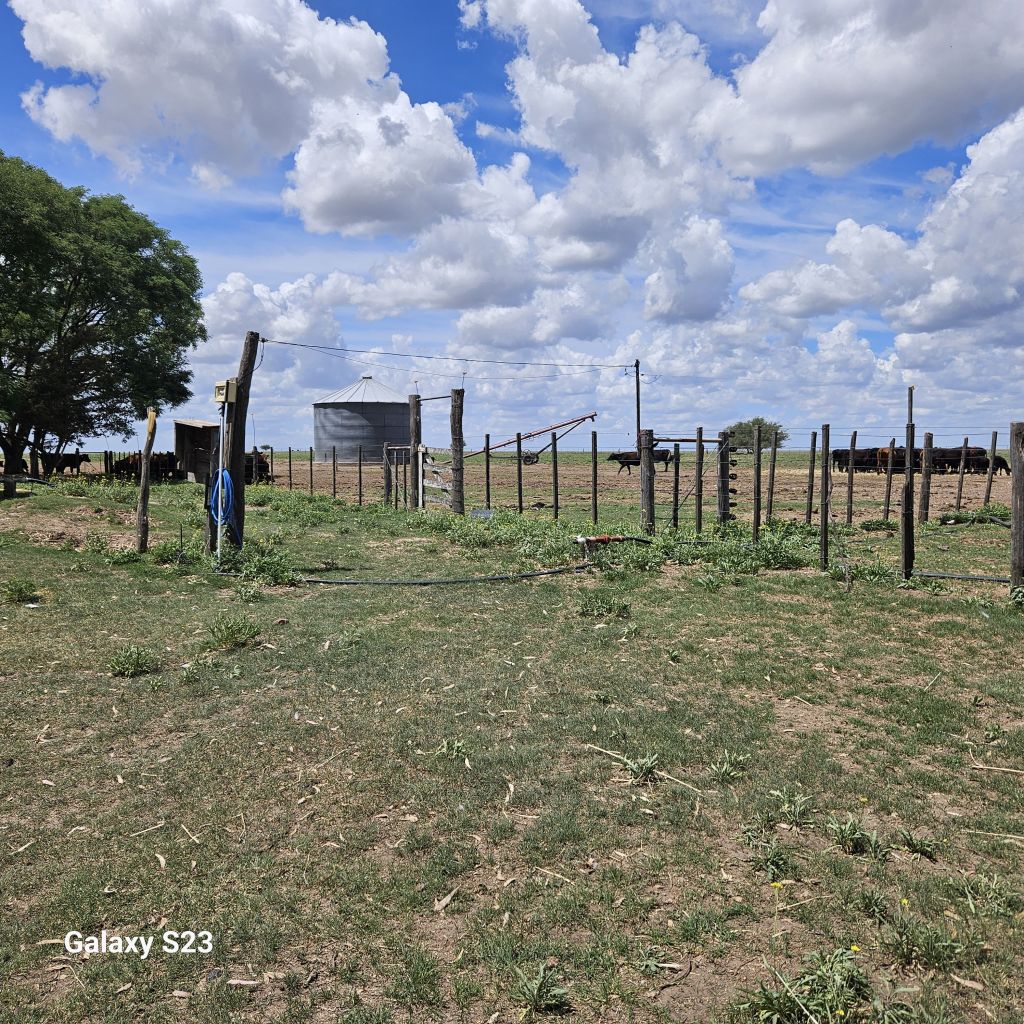 500  HA BERRAONDO