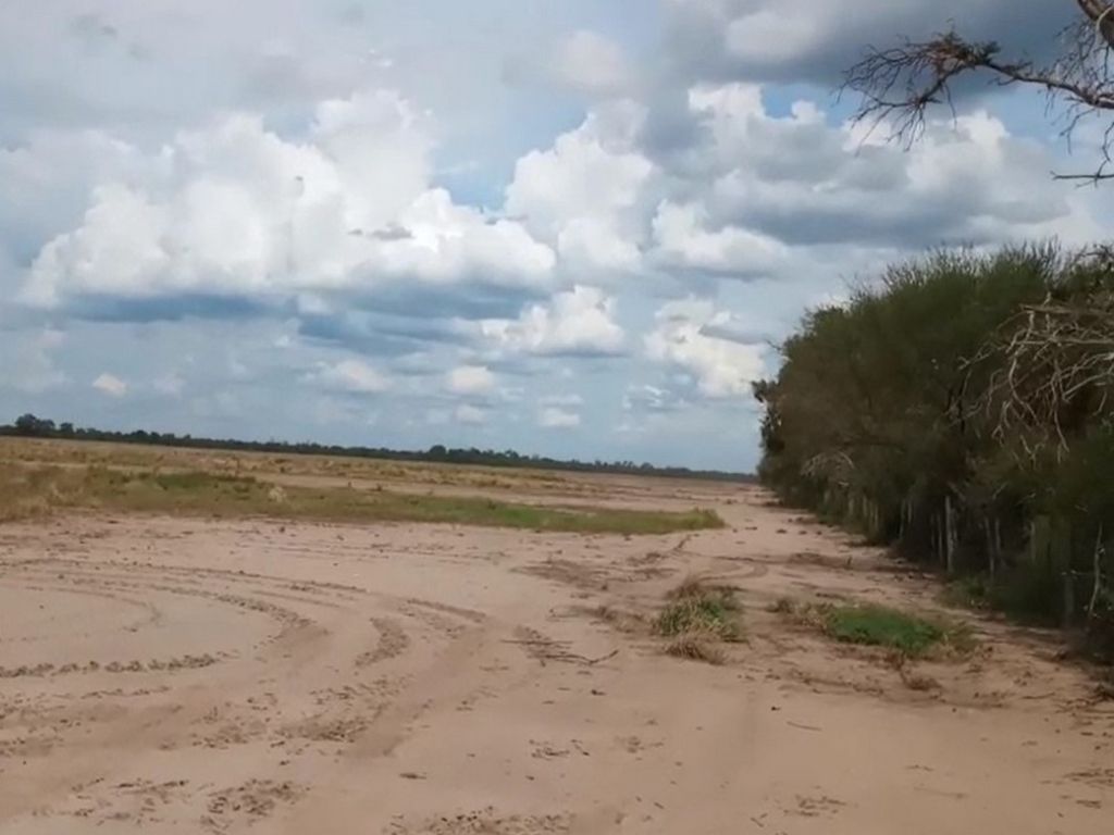 3.000 ha PLUMA DE PATO SALTA