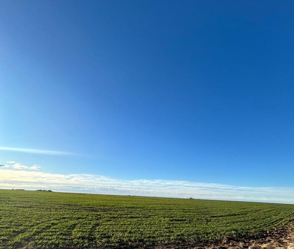 600 HA PUAN