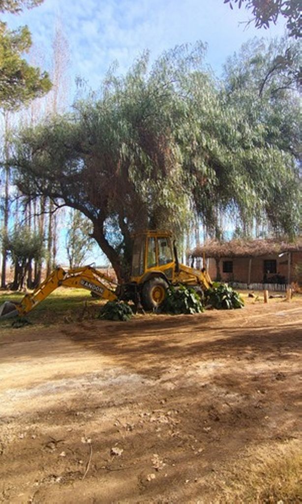 Imagen10